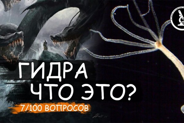 Kraken market3